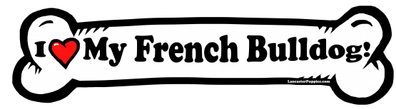 I love my French Bulldog Dog Bone Sticker Free Shipping