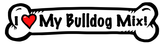 I love my Bulldog Mix Dog Bone Sticker