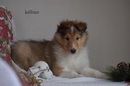 Lillian 