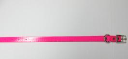 Size 14 Abe Collar 3/4" Wide Pink Free Shipping