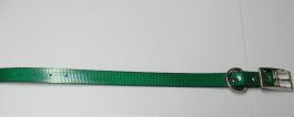 Size 14 Abe Collar 1" Wide Green Free Shipping