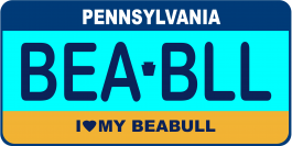 Beabull License Plate
