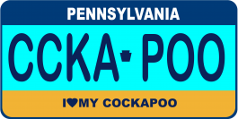 Cockapoo License Plate
