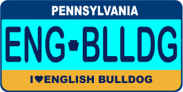 English Bulldog License Plate 
