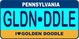 Goldendoodle License Plate