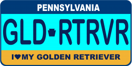 Golden Retriever License Plate