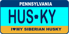 Siberian Husky License Plate