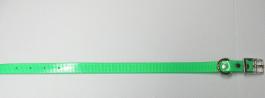 Size 14 Abe Collar 3/4" Wide Lime Green Free Shipping